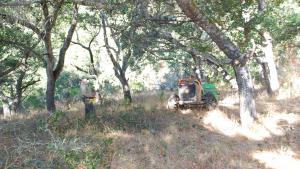 (Leigh Ann Gessner) a worker and mower clearing defensible space